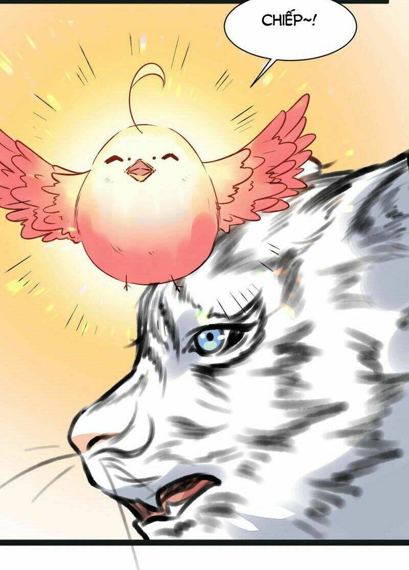 Thịnh Sủng Kiều Nữ Trở Về Triều Ca: Chapter 33