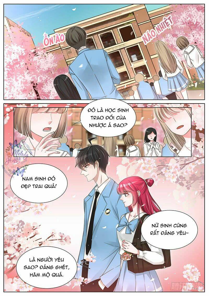 Vương Bài Giáo Thảo: Chapter 239