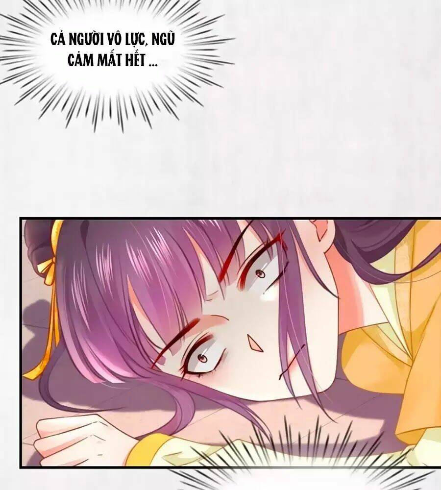 Hoạn Phi Hoàn Triều: Chapter 61