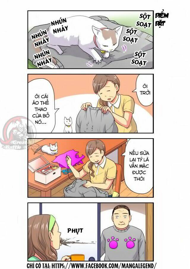 Cat is silver vine: Chapter 13