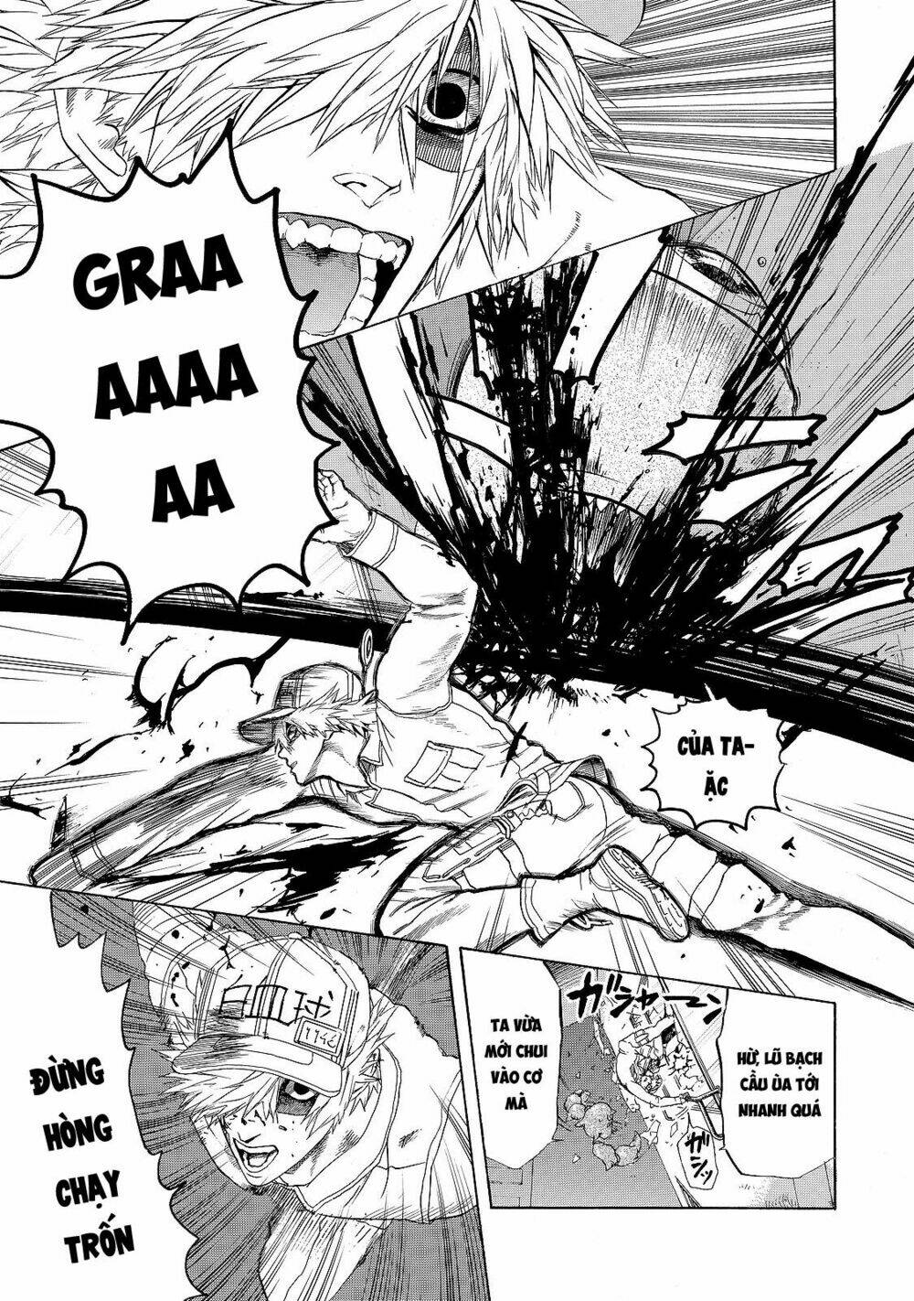 Hataraku Saibou!: Chapter 17