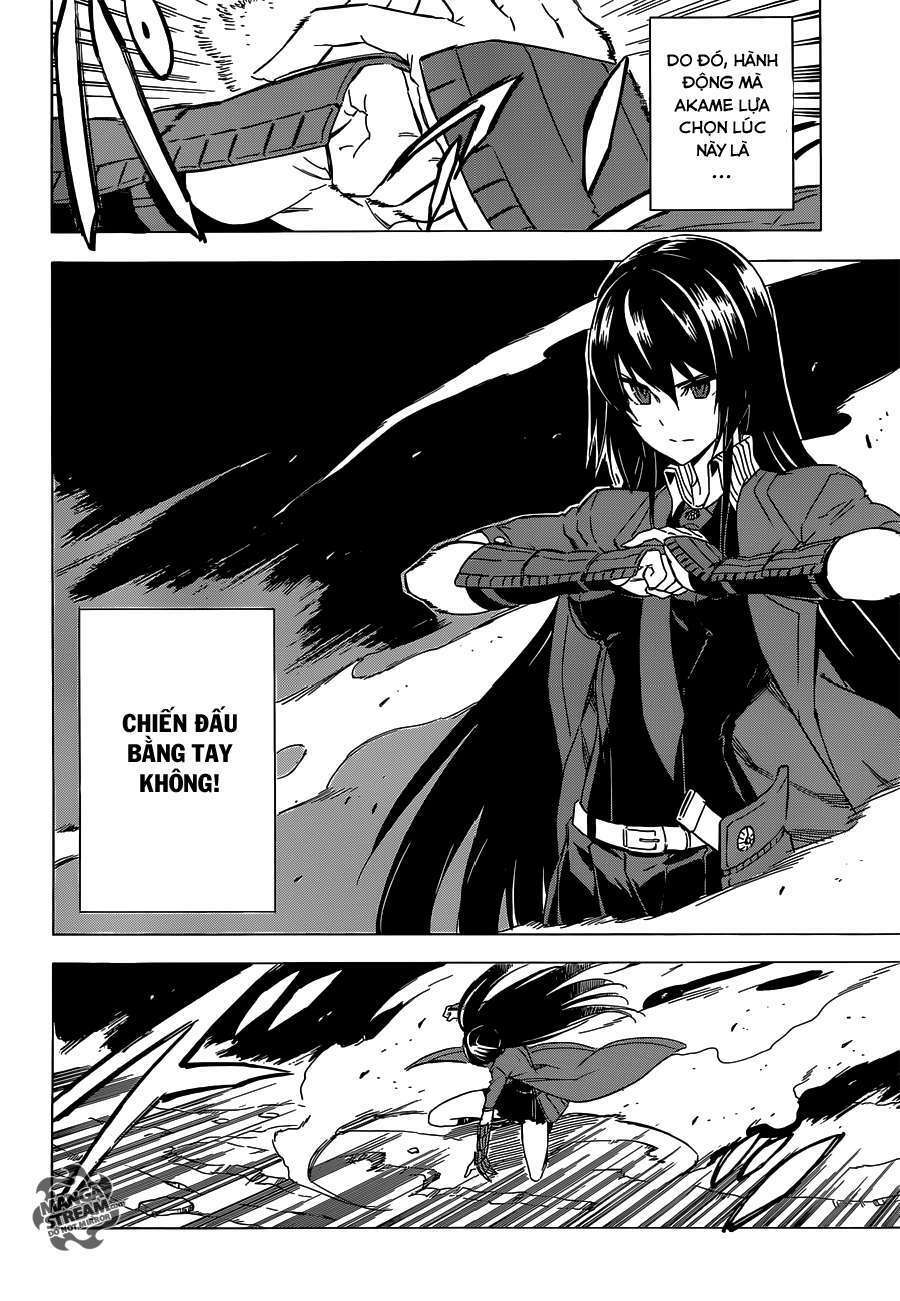 Akame Ga Kiru: Chapter 59.1