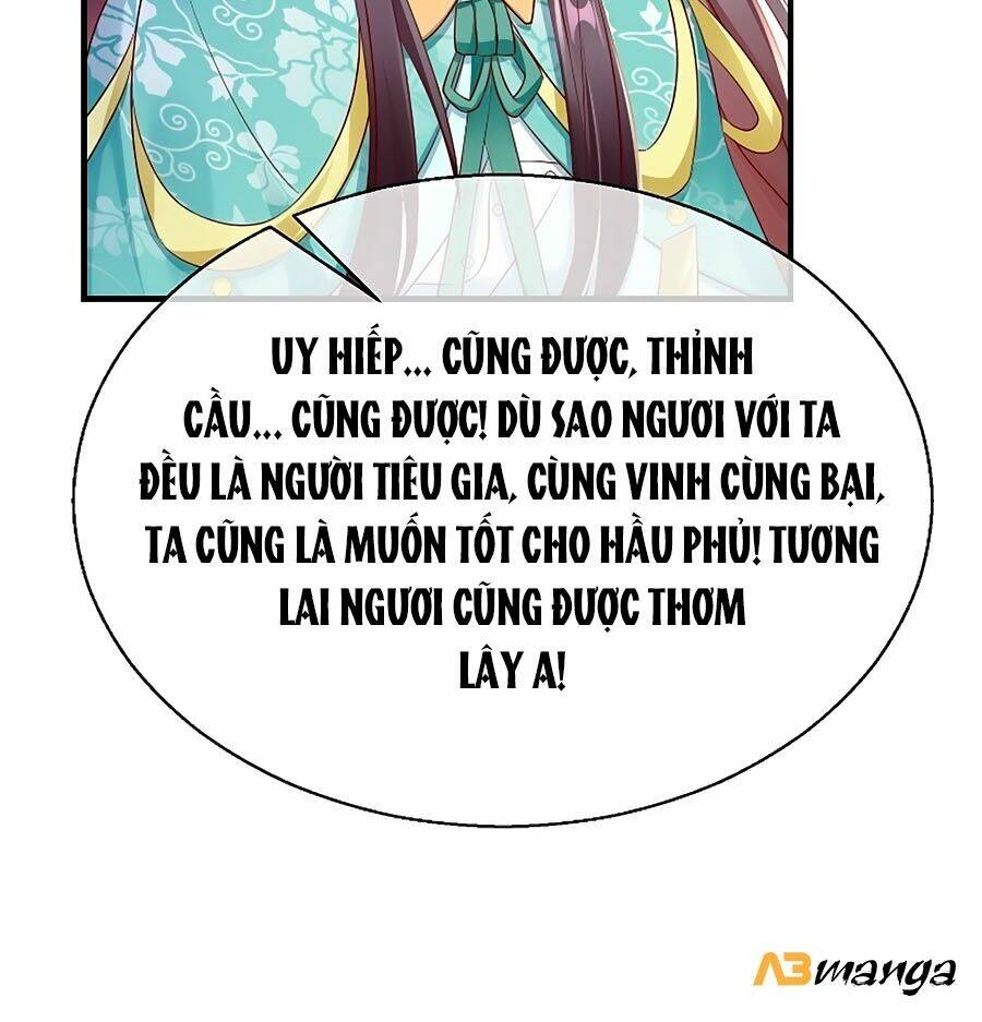 Vương Phi Là Đoá Bạch Liên Hoa: Chapter 11