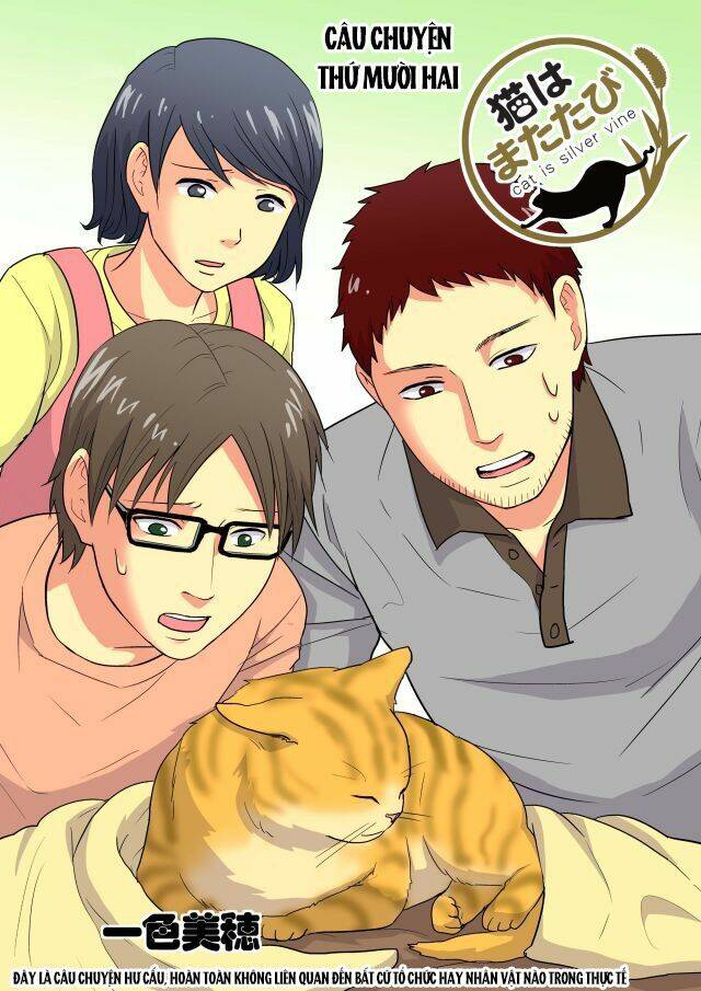 Cat is silver vine: Chapter 12