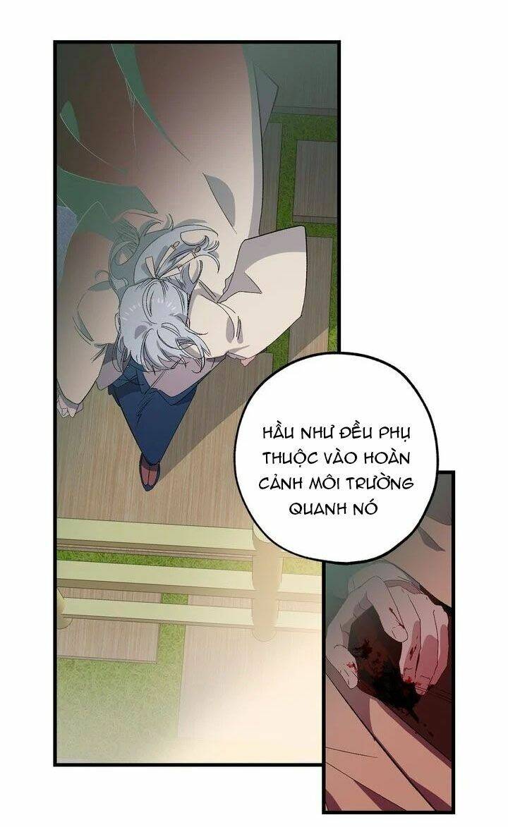 Tình Điên Dại: Chapter 37