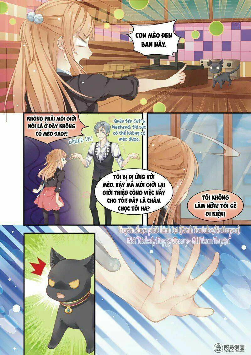 Xin Chào! Coffee Cat's: Chapter 1