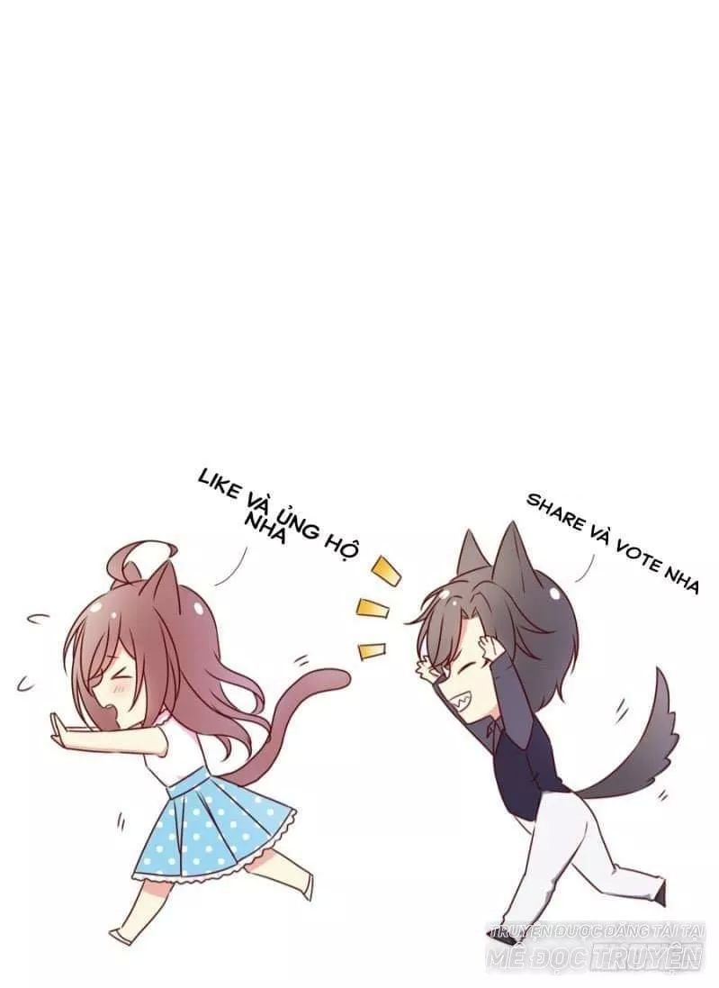 Nam Thần Truy Thê Chỉ Nam: Chapter 5