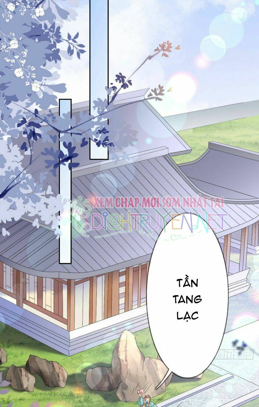 Tang Lạc Túy Tại Nam Phong Lý: Chapter 41
