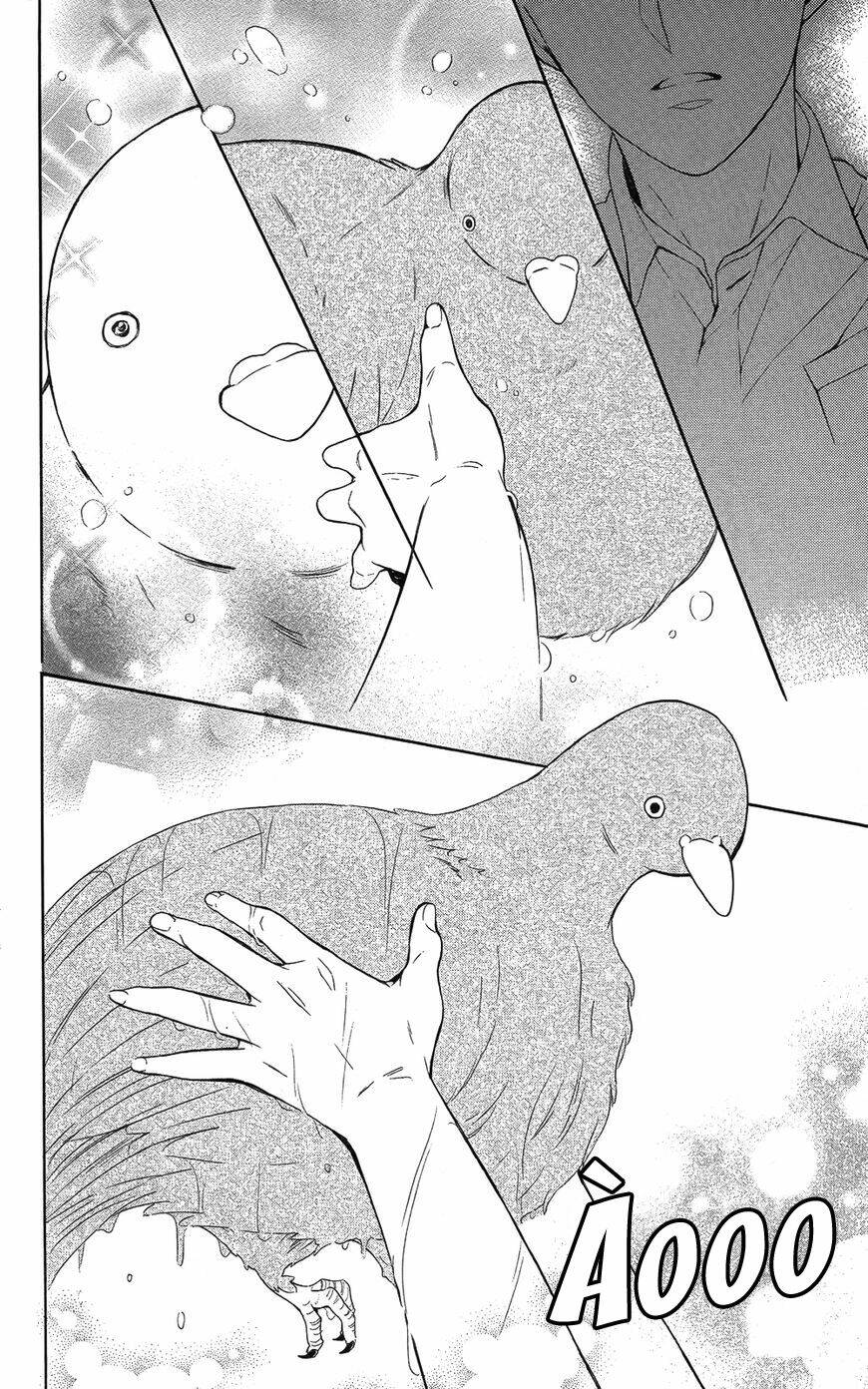 Thầy Giáo Của Tôi: Chapter 114