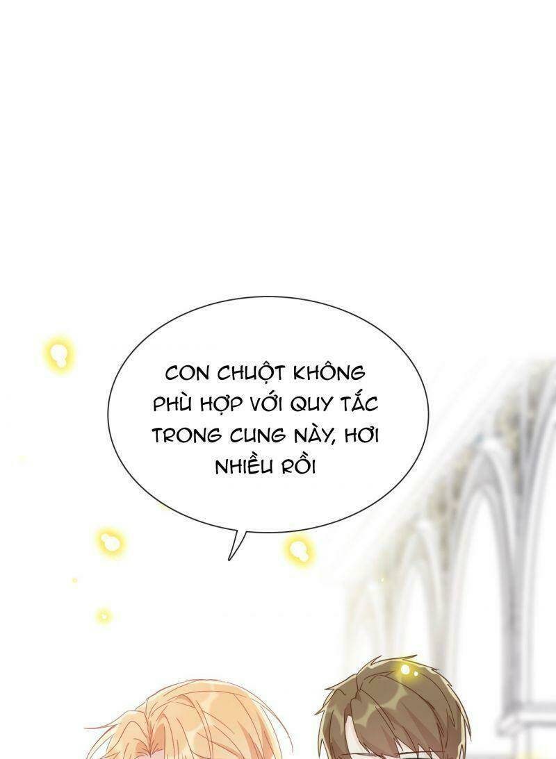 Tôi Bị Ép Trở Thành Vương Phi Khi Xuyên Tới Thế Giới Khác: Chapter 4
