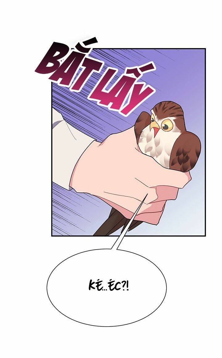 Công Chúa Của Loài Chim: Chapter 18