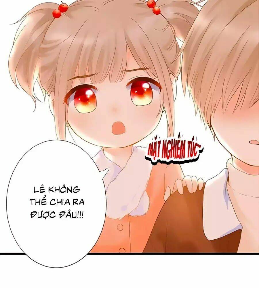 Đóa Hoa Chớm Nở: Chapter 5