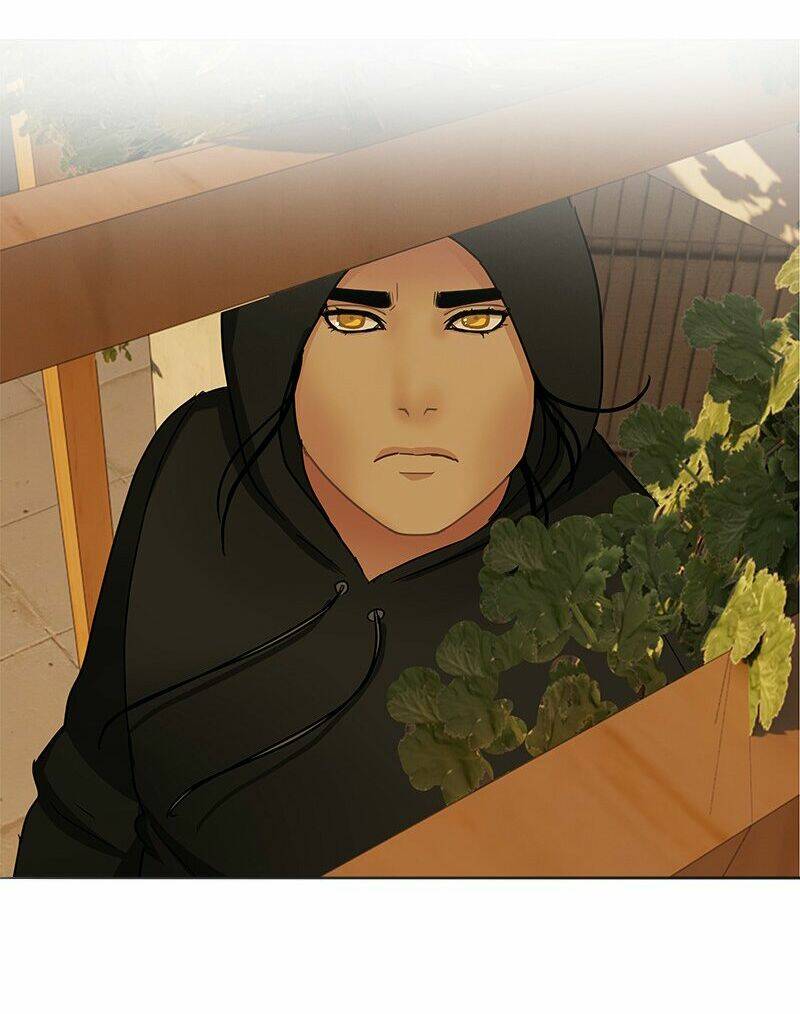 Nửa Đêm Ở Poppy Land: Chapter 33