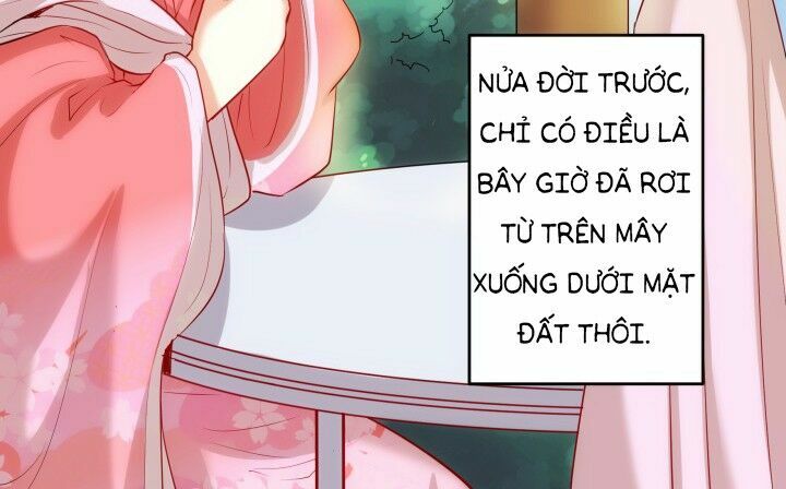 Đô đốc đại nhân sủng thê kí: Chapter 1.2