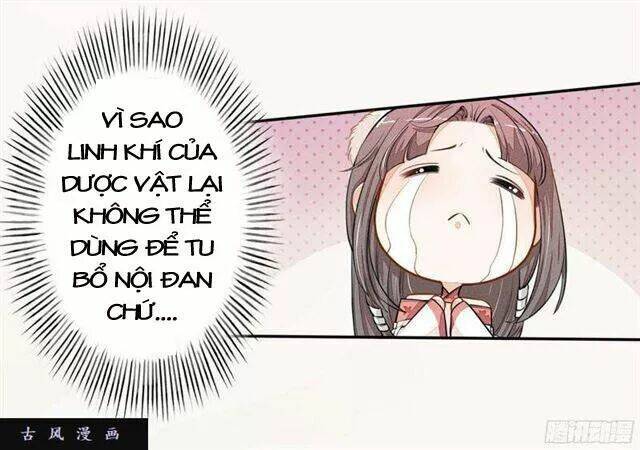 Tuyệt Thế Luyện Đan Sư: Chapter 23