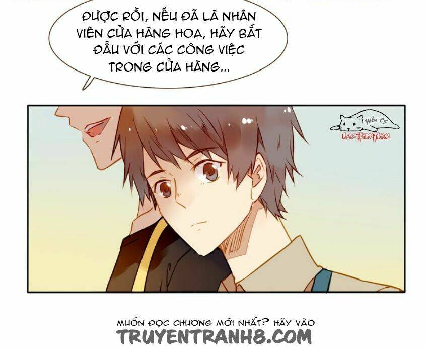 Tại Hạ Là Thần Tình Yêu: Chapter 24