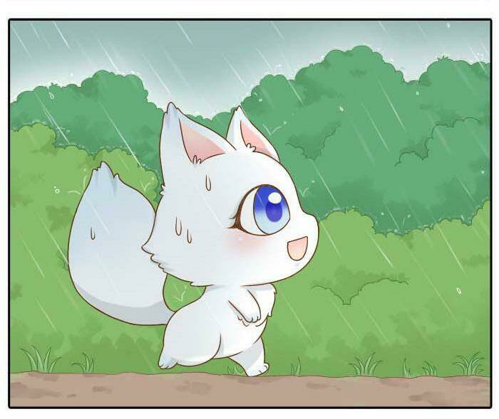 Tiểu Hồ Ly vs Tiểu Hóa Thượng: Chapter 10