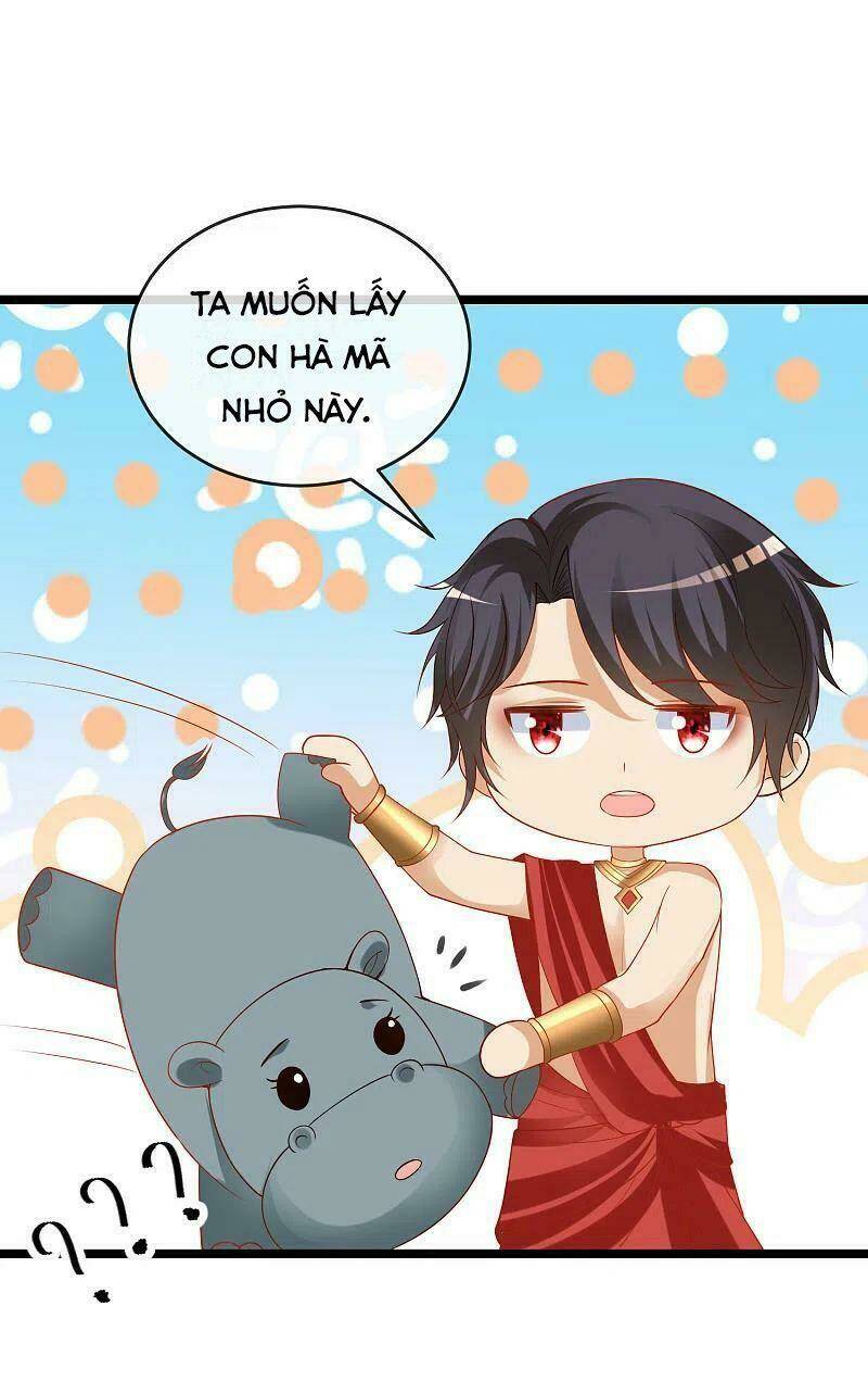 Sủng Hậu Của Vương: Chapter 119