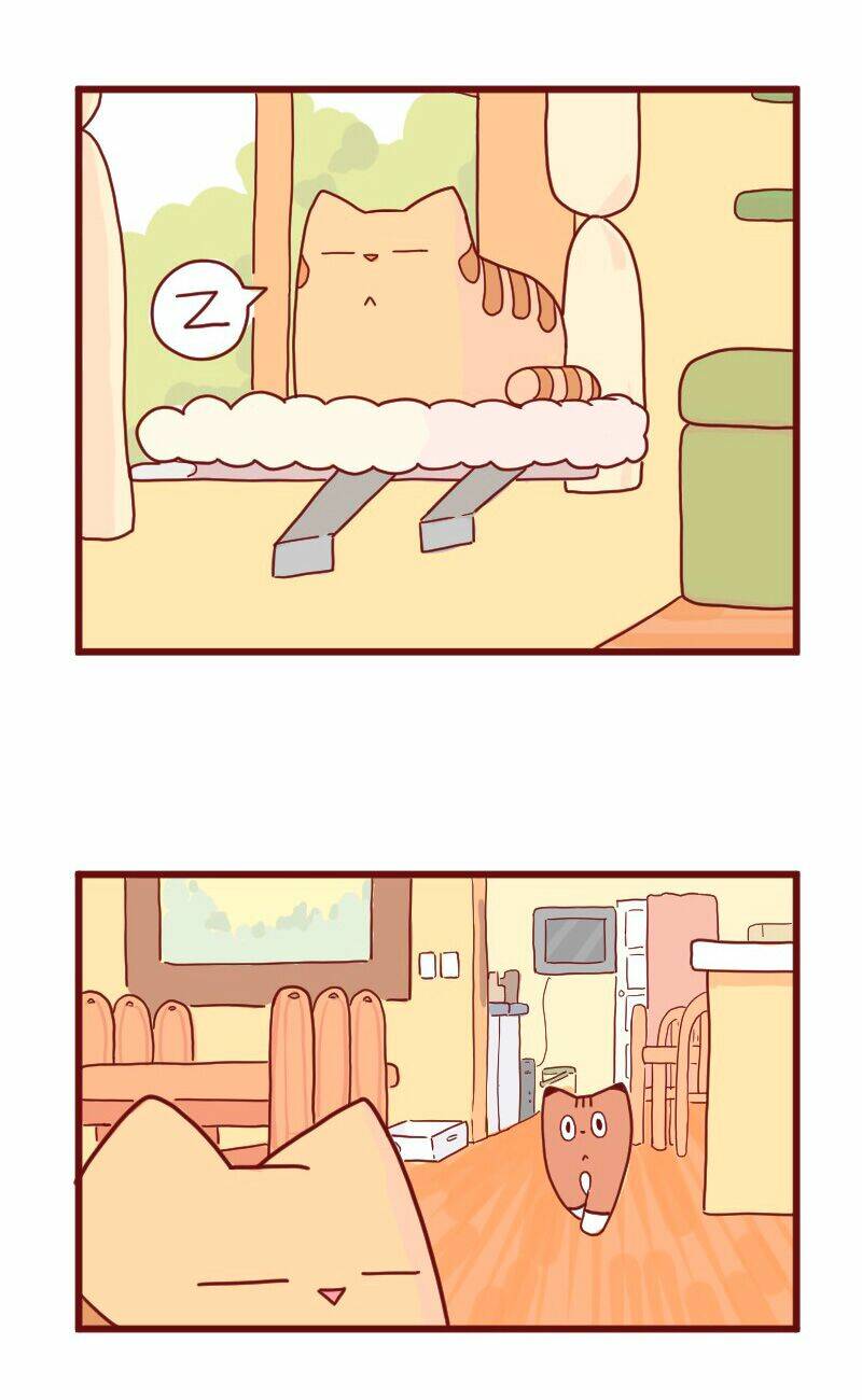 Saphie: Chú mèo một mắt: Chapter 10