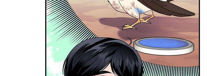 Công Chúa Của Loài Chim: Chapter 49