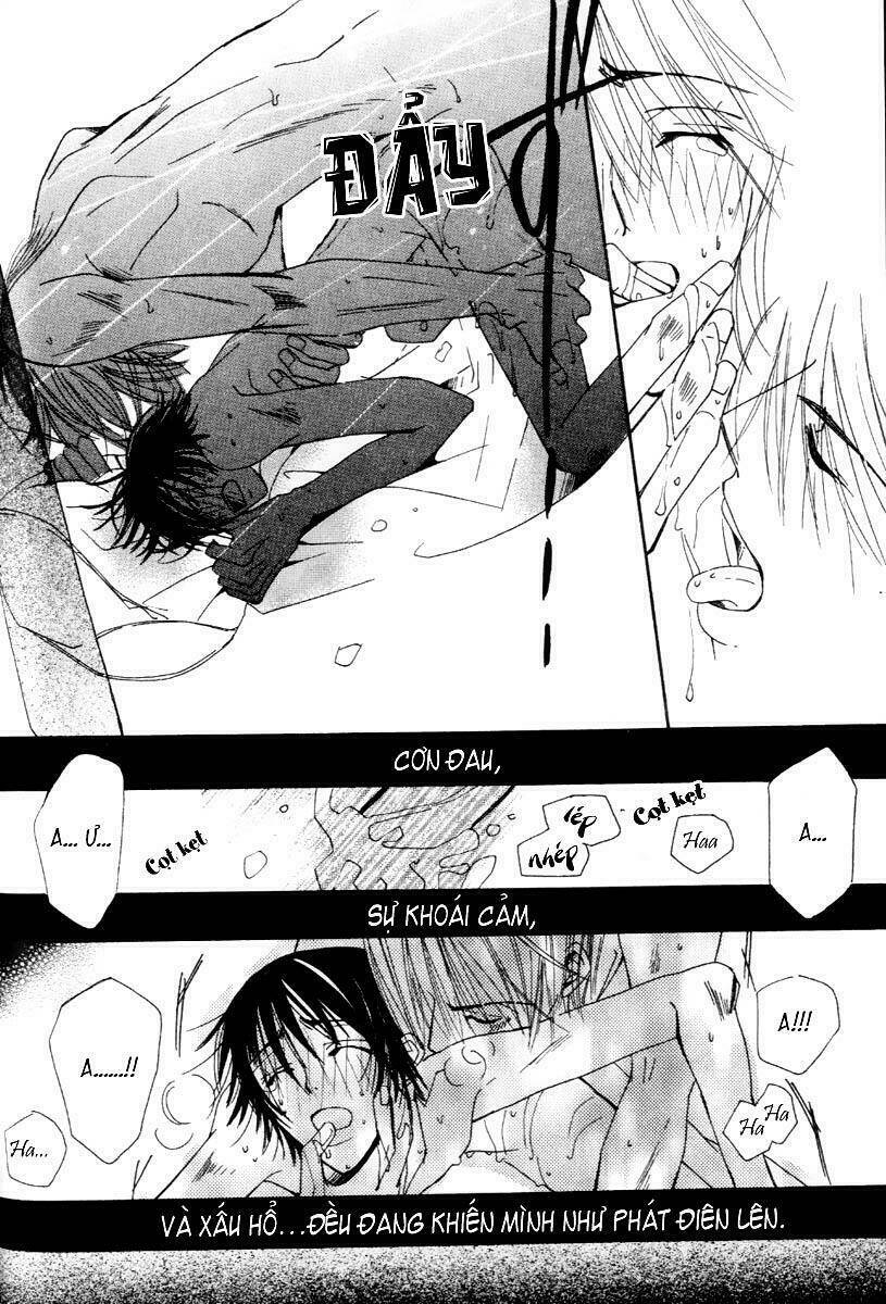 Sự Lãng Mạn Thuần Khiết: Chapter 6