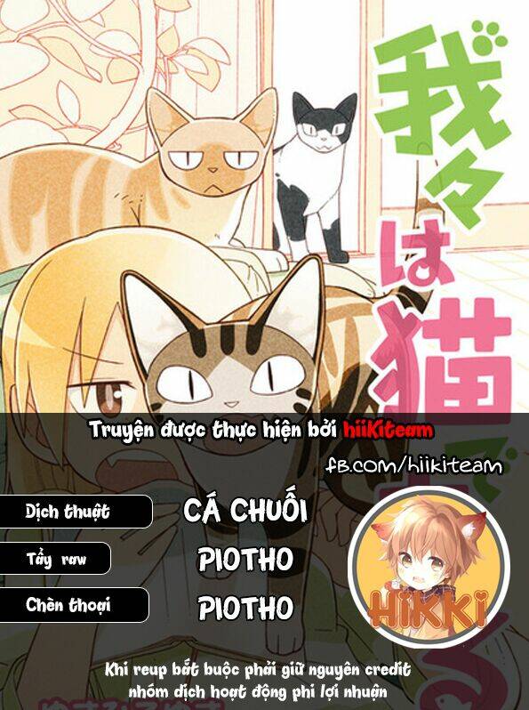 We Are Cat: Chapter 19