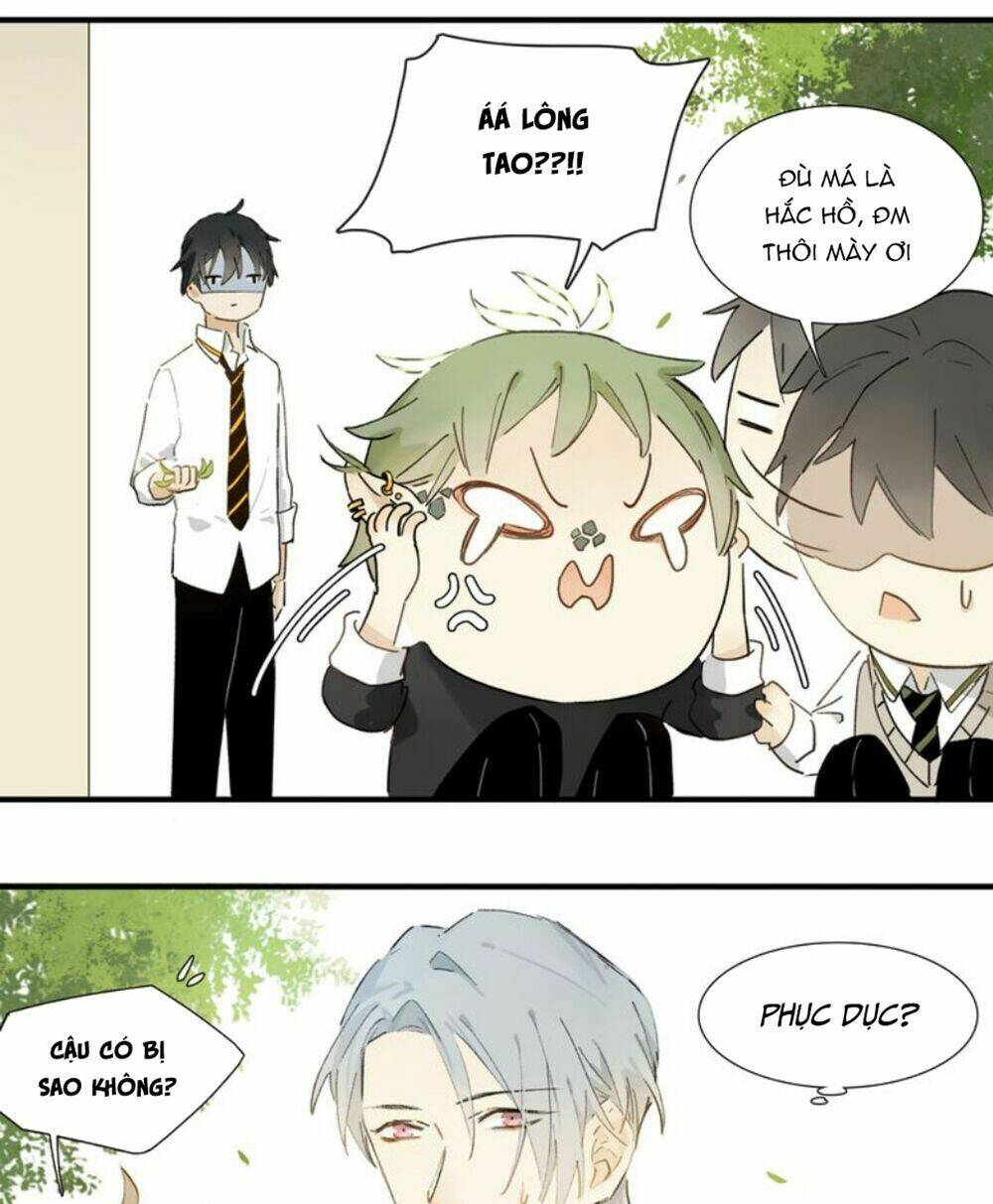 Phép Tắc Trường Ogus: Chapter 5