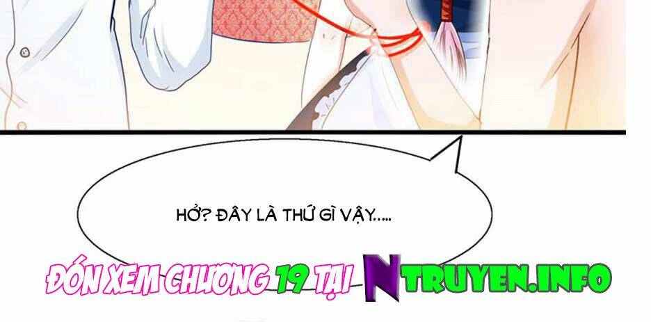Tôi Bị Gấu Trúc Nhìn Trúng Rồi: Chapter 18