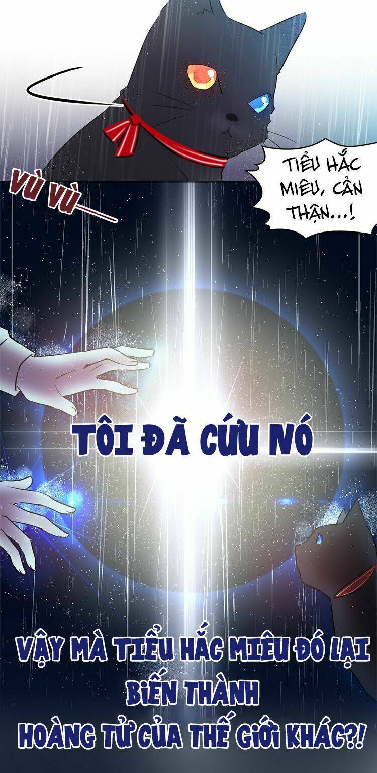 Miêu Vương Tử Đích Tân Nương: Chapter 0.5