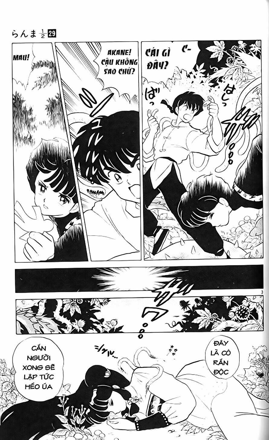 Suối Lời Nguyền: Chapter 307