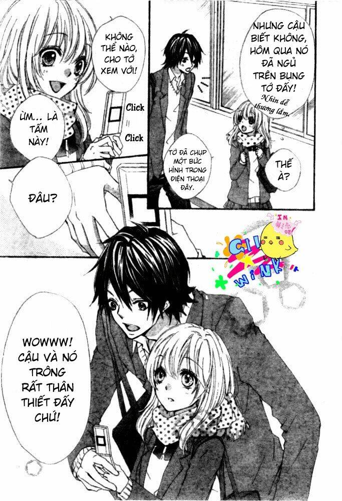 Tình Yêu Của Hiyo: Chapter 5