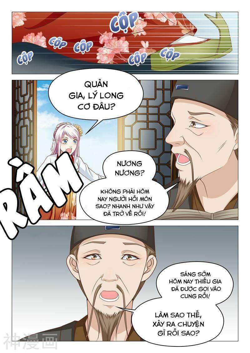 Dương Quý Phi Là Lính Đặc Chủng: Chapter 22