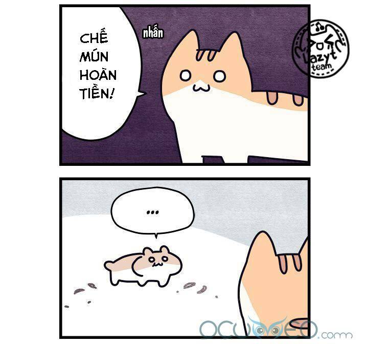 Khi Loài Mèo Làm Bá Chủ Thế Giới: Chapter 5