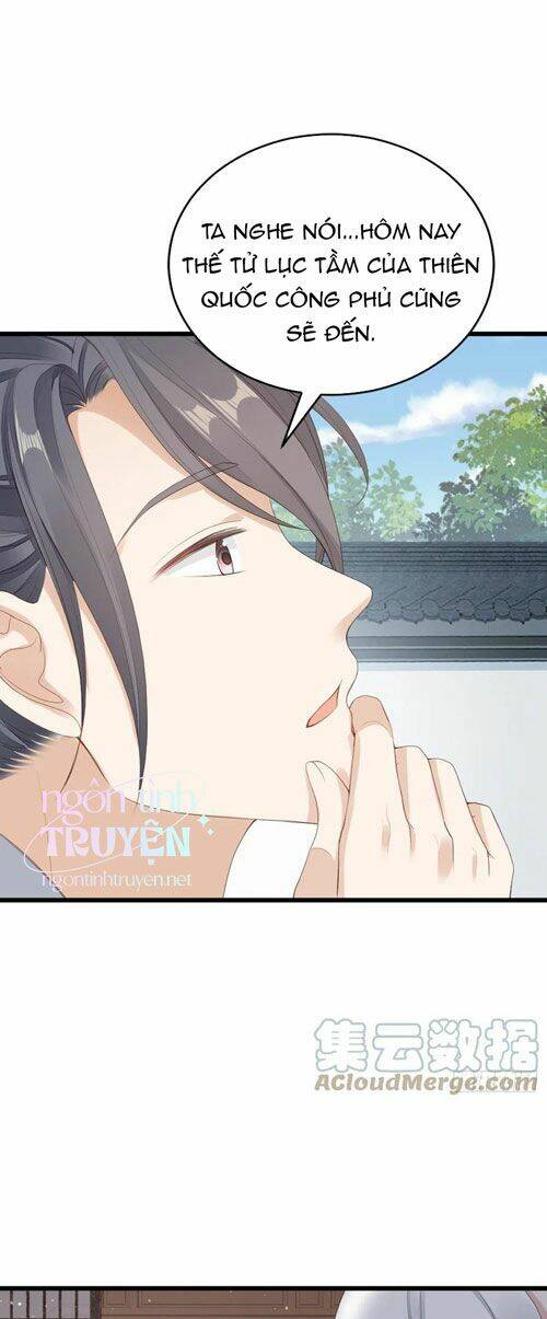 Mau Xuyên Không Rửa Tội Cho Nhân Vật Phản Diện: Chapter 41