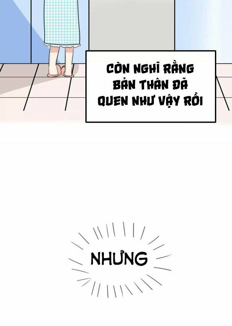 Tiểu Miêu Và Hắc Diệu Thạch: Chapter 11