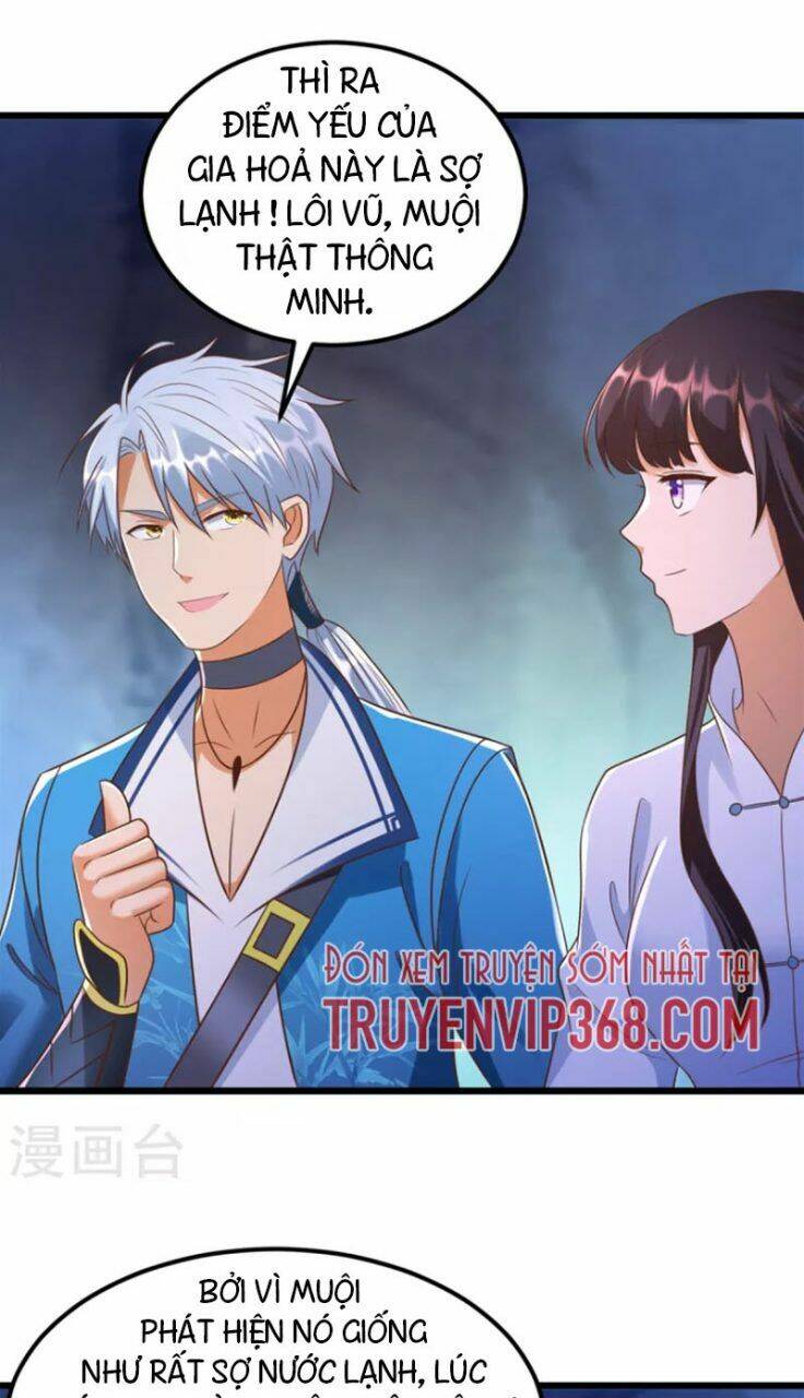 Chí Tôn Trọng Sinh: Chapter 178