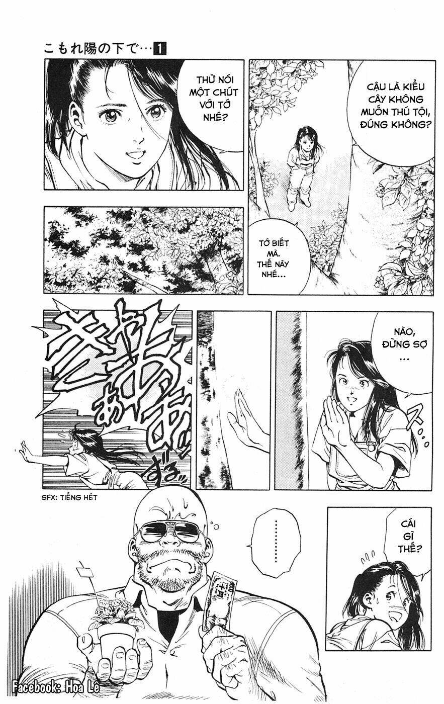 Cô Bé Mặt Trời: Chapter 1