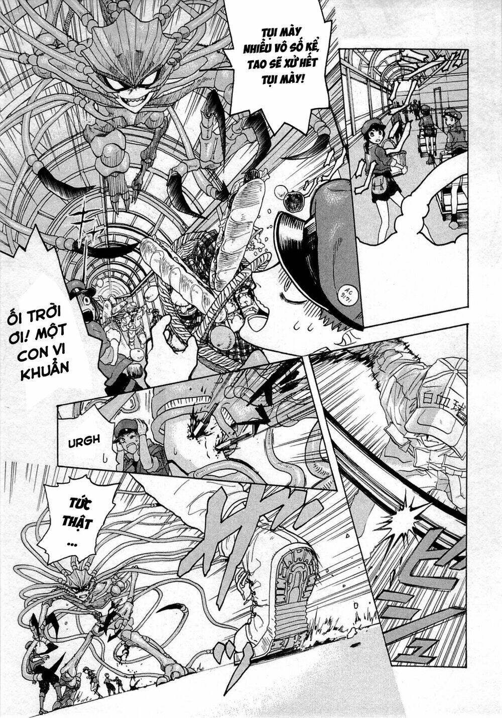 Hataraku Saibou!: Chapter 1