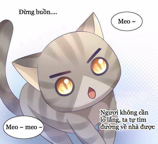 Dưới Móng Vuốt Mèo: Chapter 20