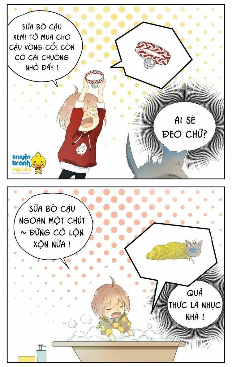 Cứu Mạng! Loài Mèo Thống Trị Thế Giới Rồi!: Chapter 24