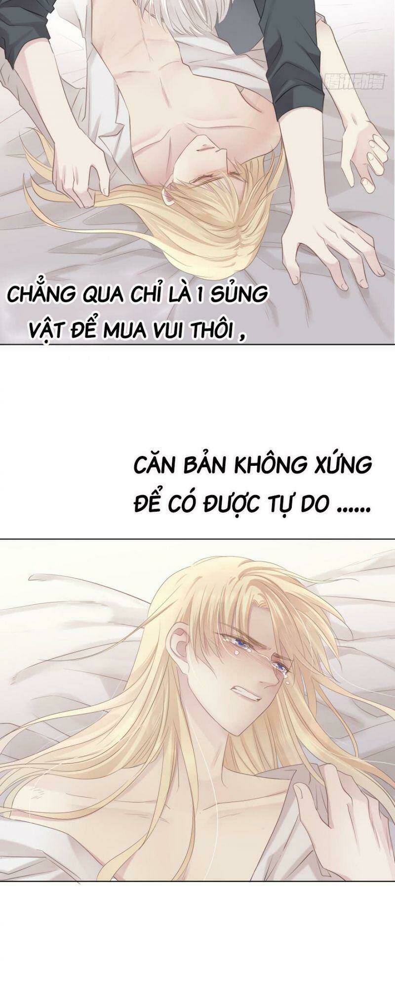 Điều Giáo Gấu Bắc Cực: Chapter 12
