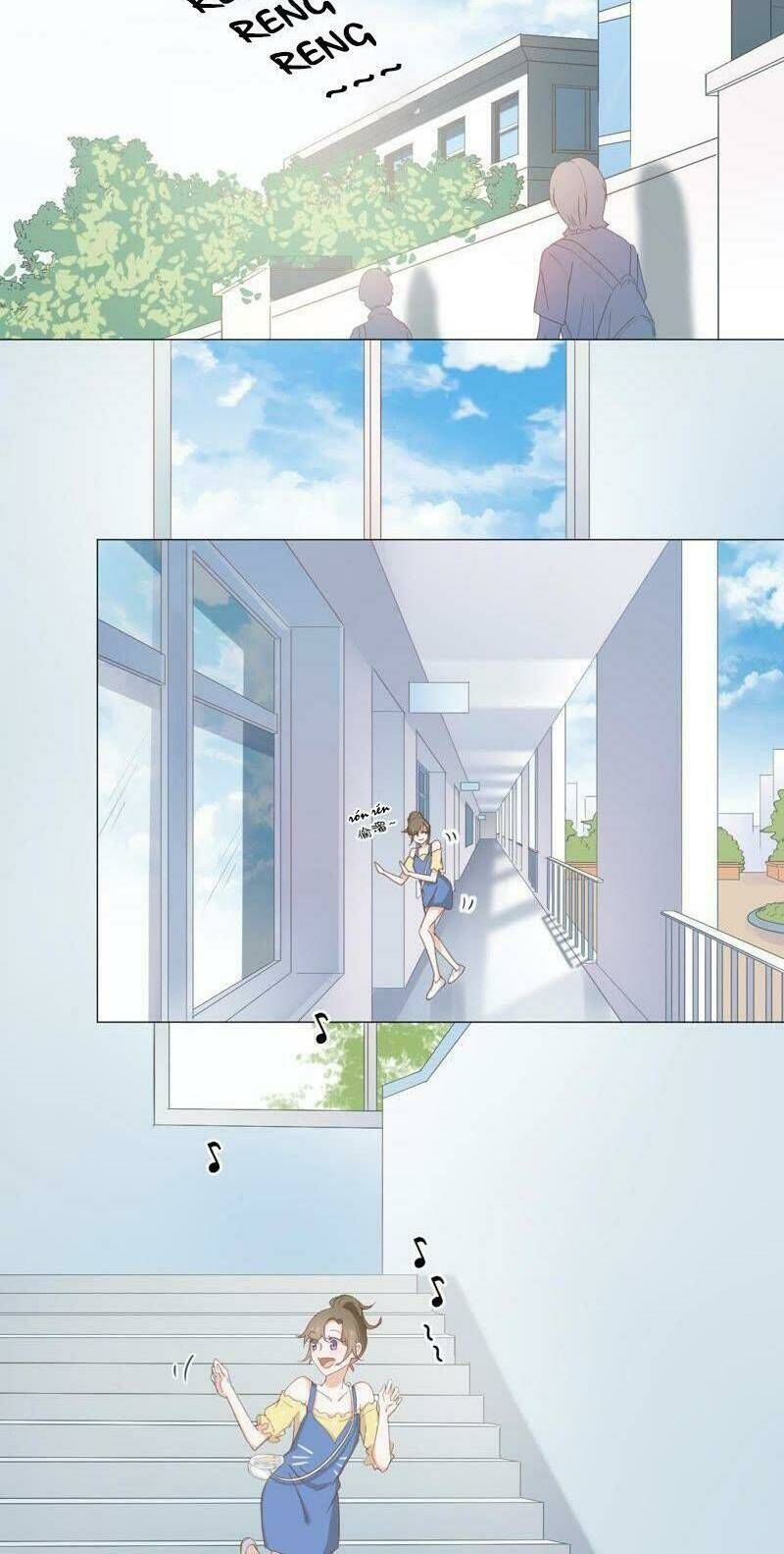 Thập Nhị Hắc Miêu: Chapter 8