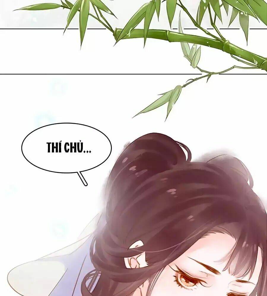 Tiểu Sư Phụ, Tóc Giả Của Ngài Rơi Rồi!: Chapter 15
