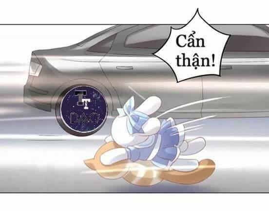 Dưới Móng Vuốt Mèo: Chapter 7