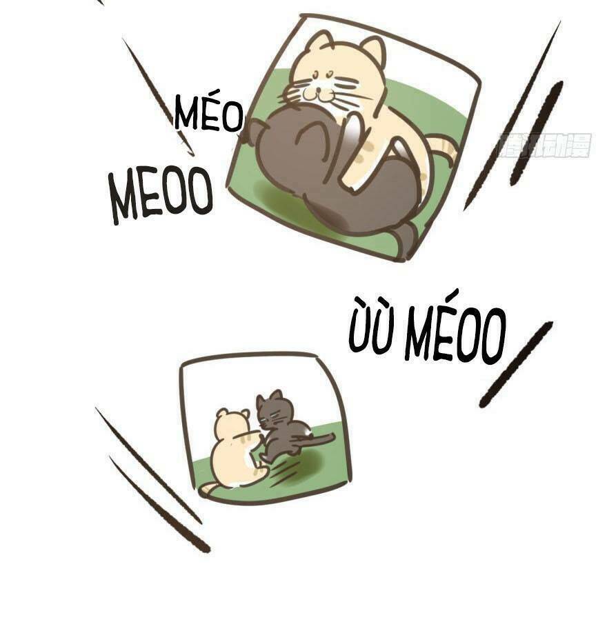 Truy Bắt Ngao Ngao: Chapter 25