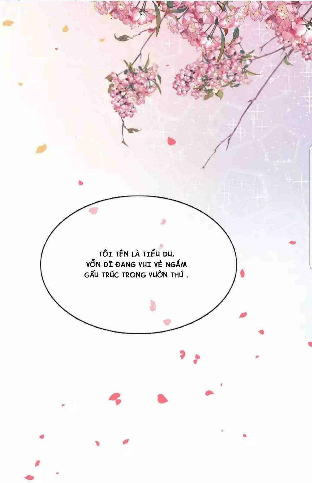 Xuyên Về Cổ Đại Làm Quốc Bảo: Chapter 1