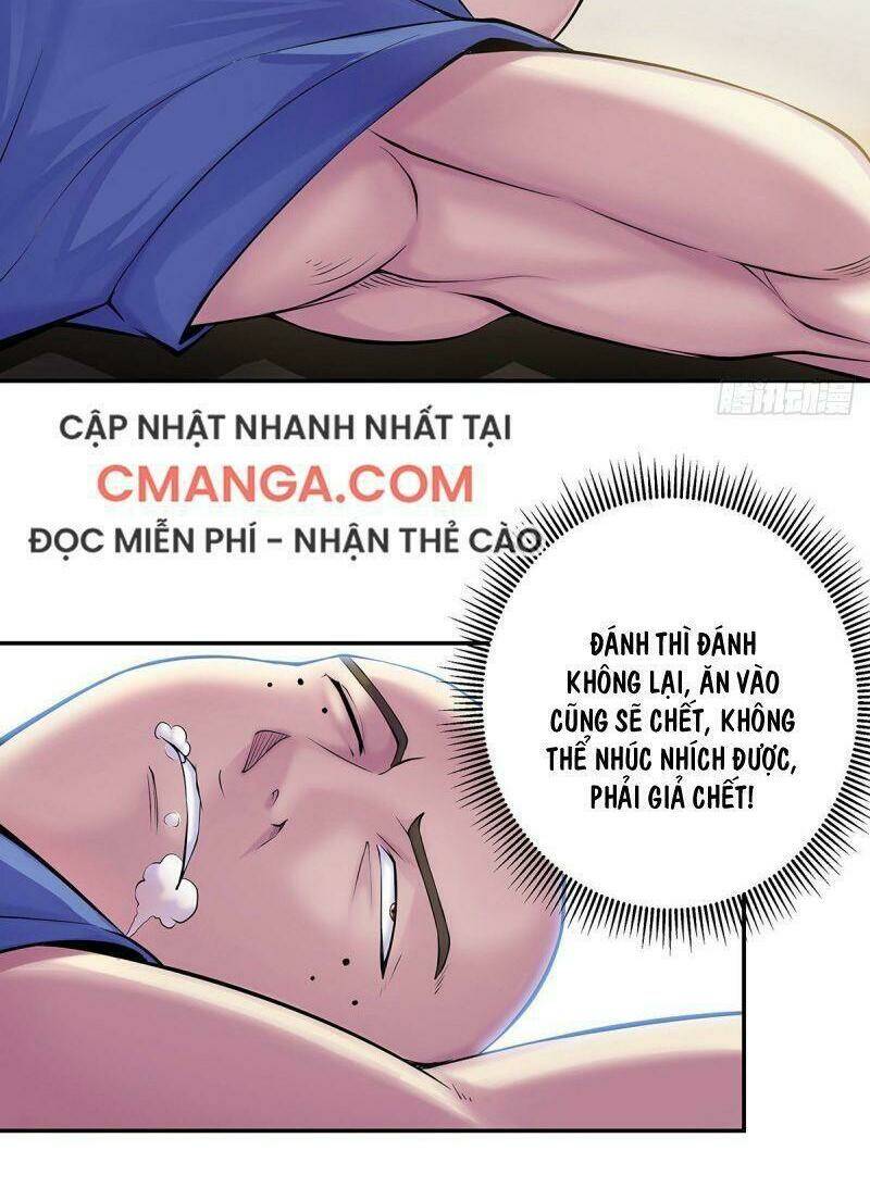 Ta Là Đại Hoàn Đan: Chapter 5