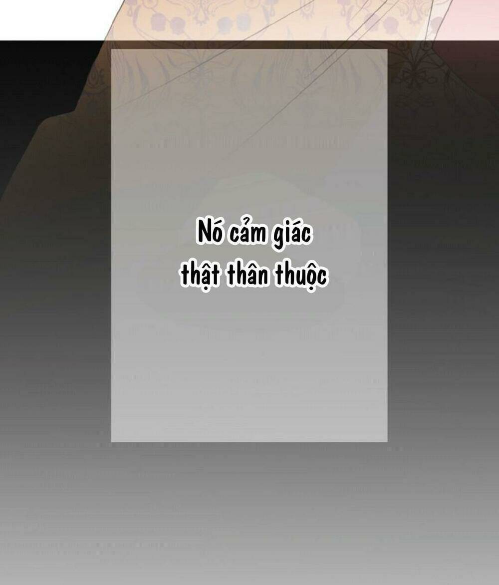 Trở Thành Nữ Kiếm Sĩ Hoàng Gia Ở Thế Giới Khác: Chapter 1
