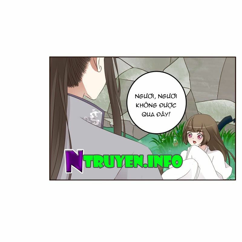Thông Linh Phi: Chapter 195
