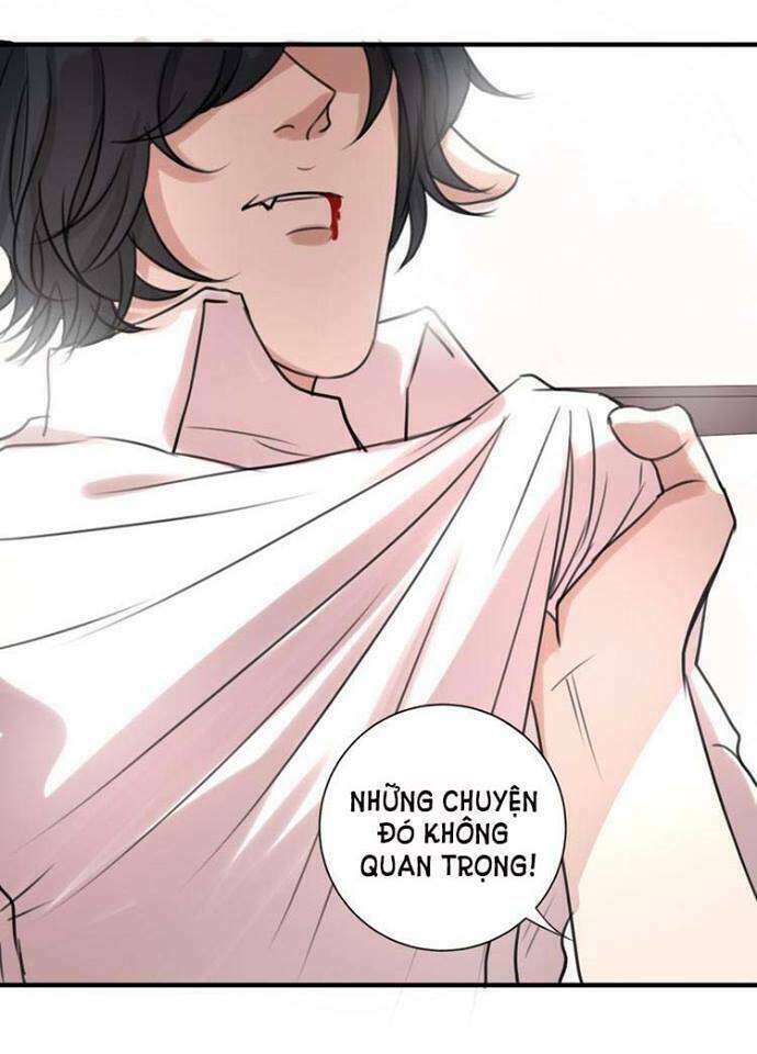 Nụ Hôn Hắc Vũ: Chapter 20